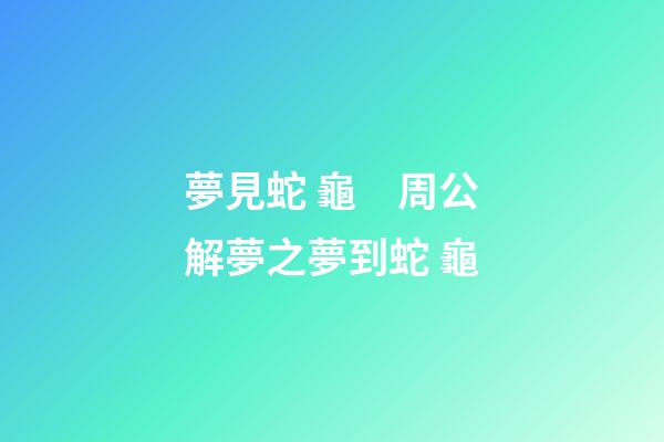 夢見蛇 龜　周公解夢之夢到蛇 龜